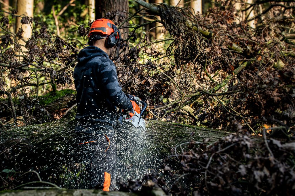 Mann mit Kettensäge, der einen Baumstamm im Wald bearbeitet.
